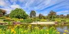 Japanese Garden - Cowra 
